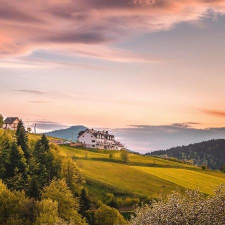 Blizej Nieba Bed & Breakfast Skrzydlna Luaran gambar