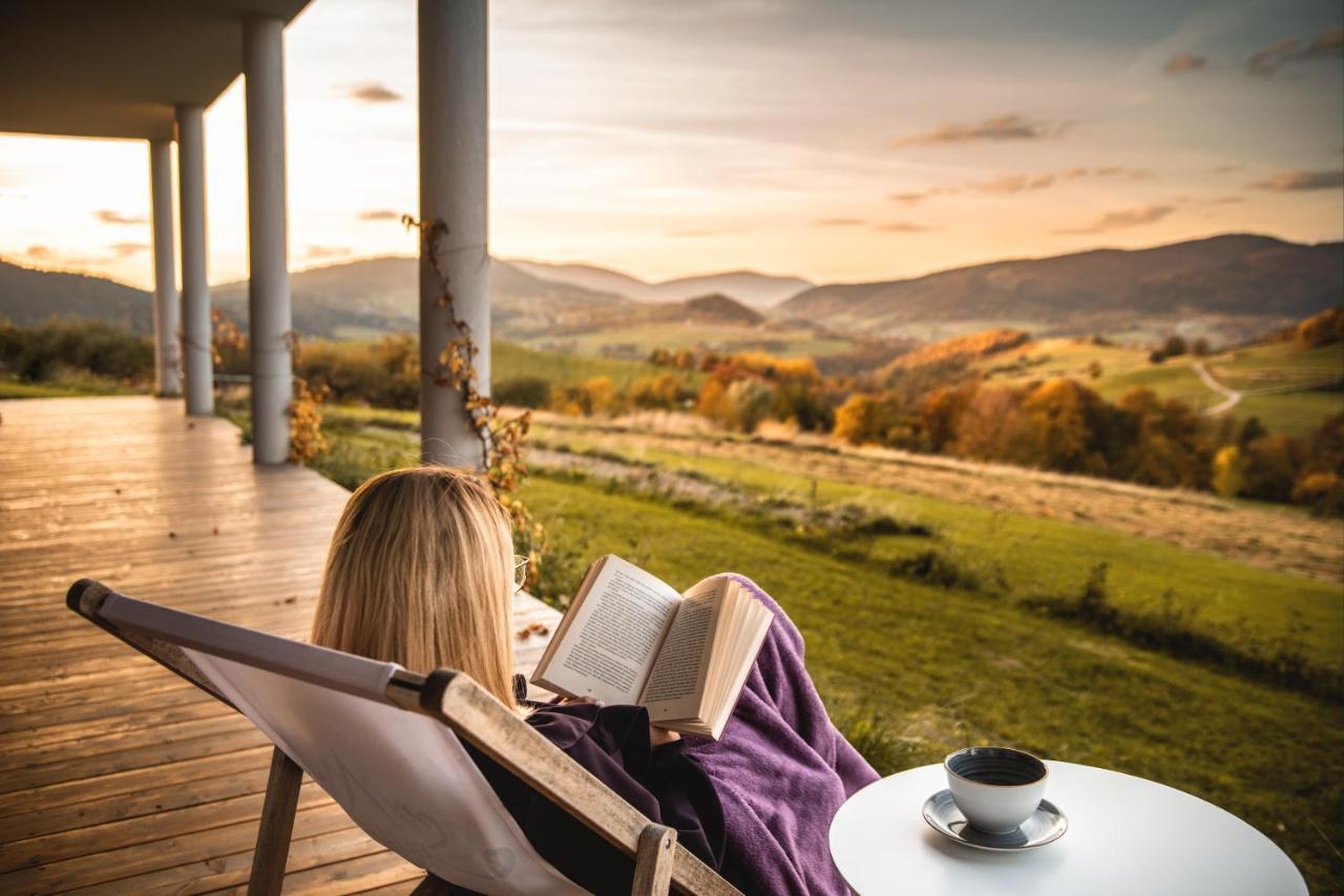 Blizej Nieba Bed & Breakfast Skrzydlna Luaran gambar
