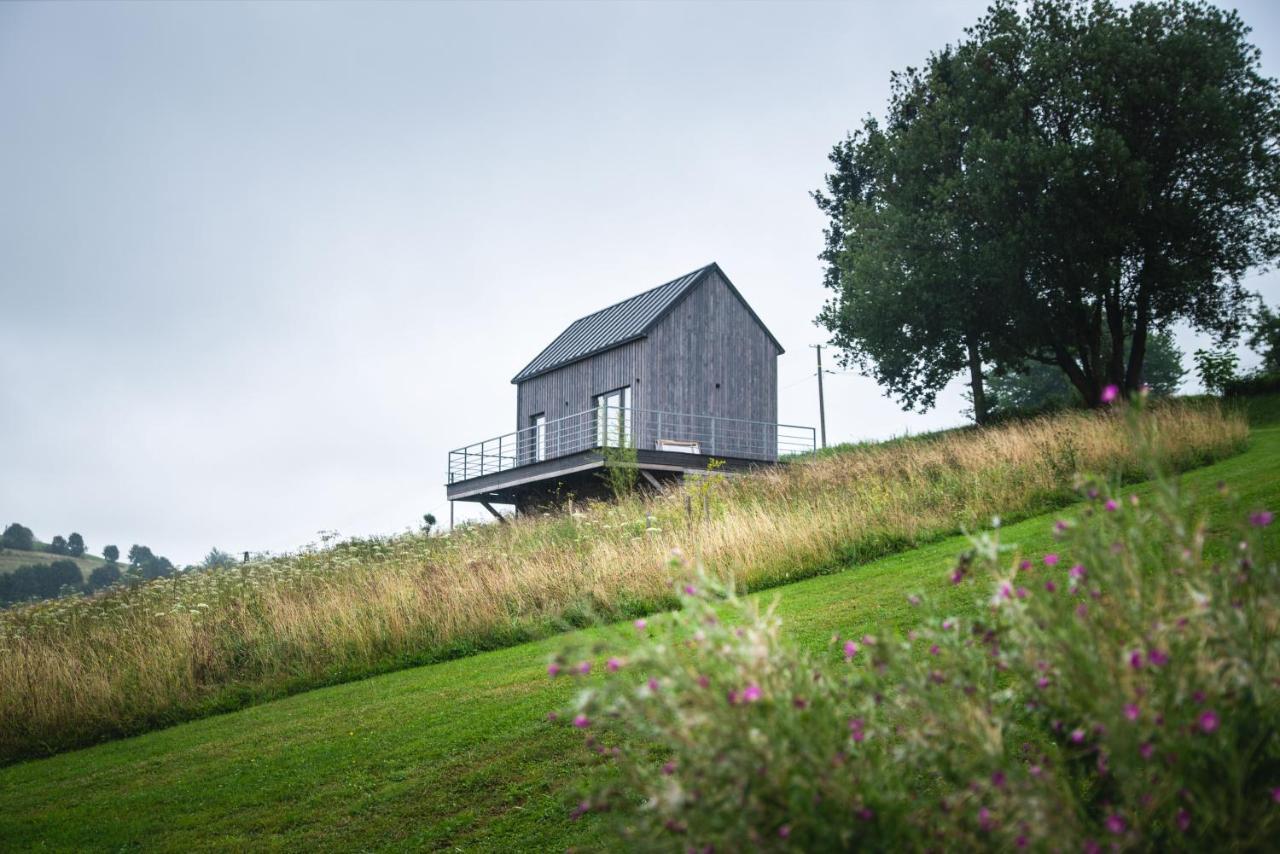 Blizej Nieba Bed & Breakfast Skrzydlna Luaran gambar