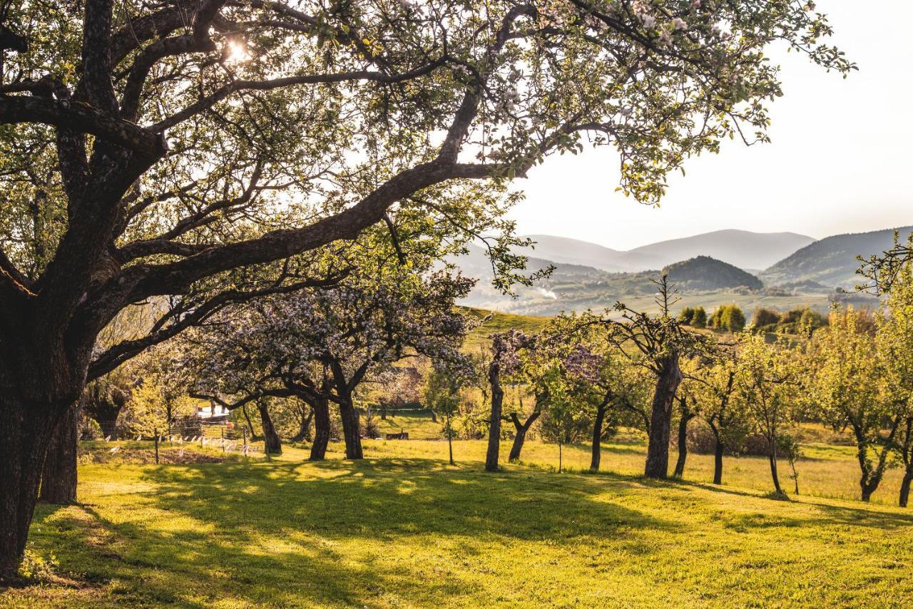 Blizej Nieba Bed & Breakfast Skrzydlna Luaran gambar
