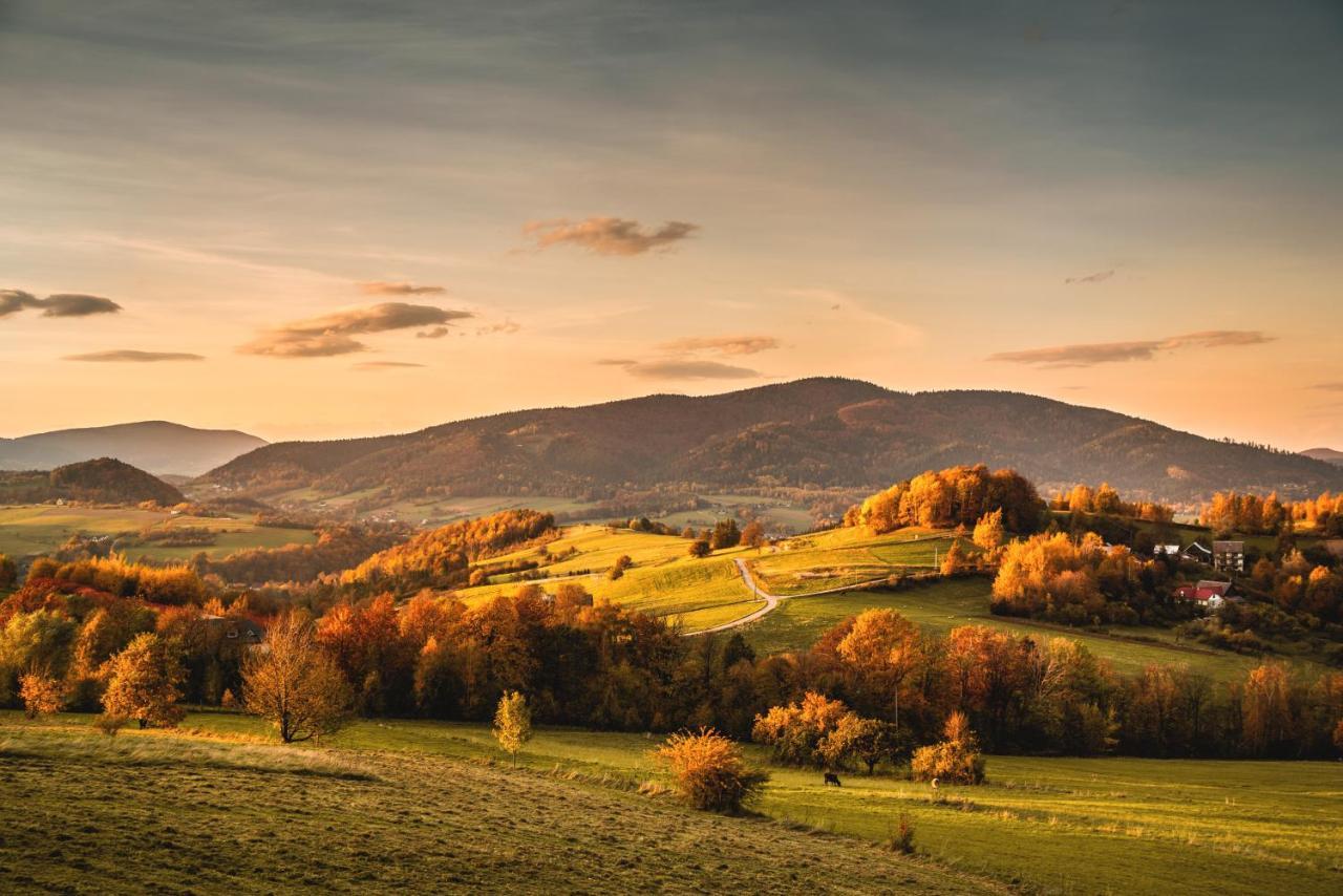 Blizej Nieba Bed & Breakfast Skrzydlna Luaran gambar