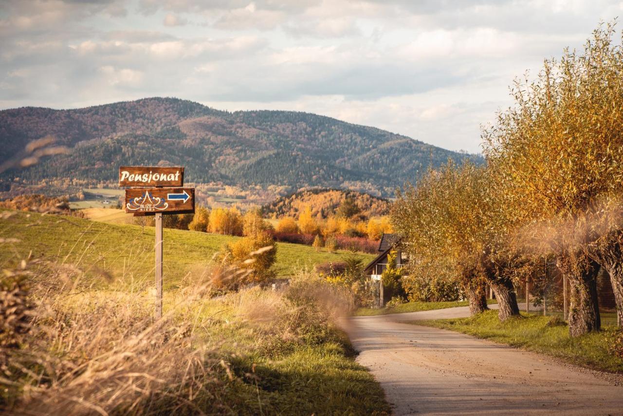 Blizej Nieba Bed & Breakfast Skrzydlna Luaran gambar