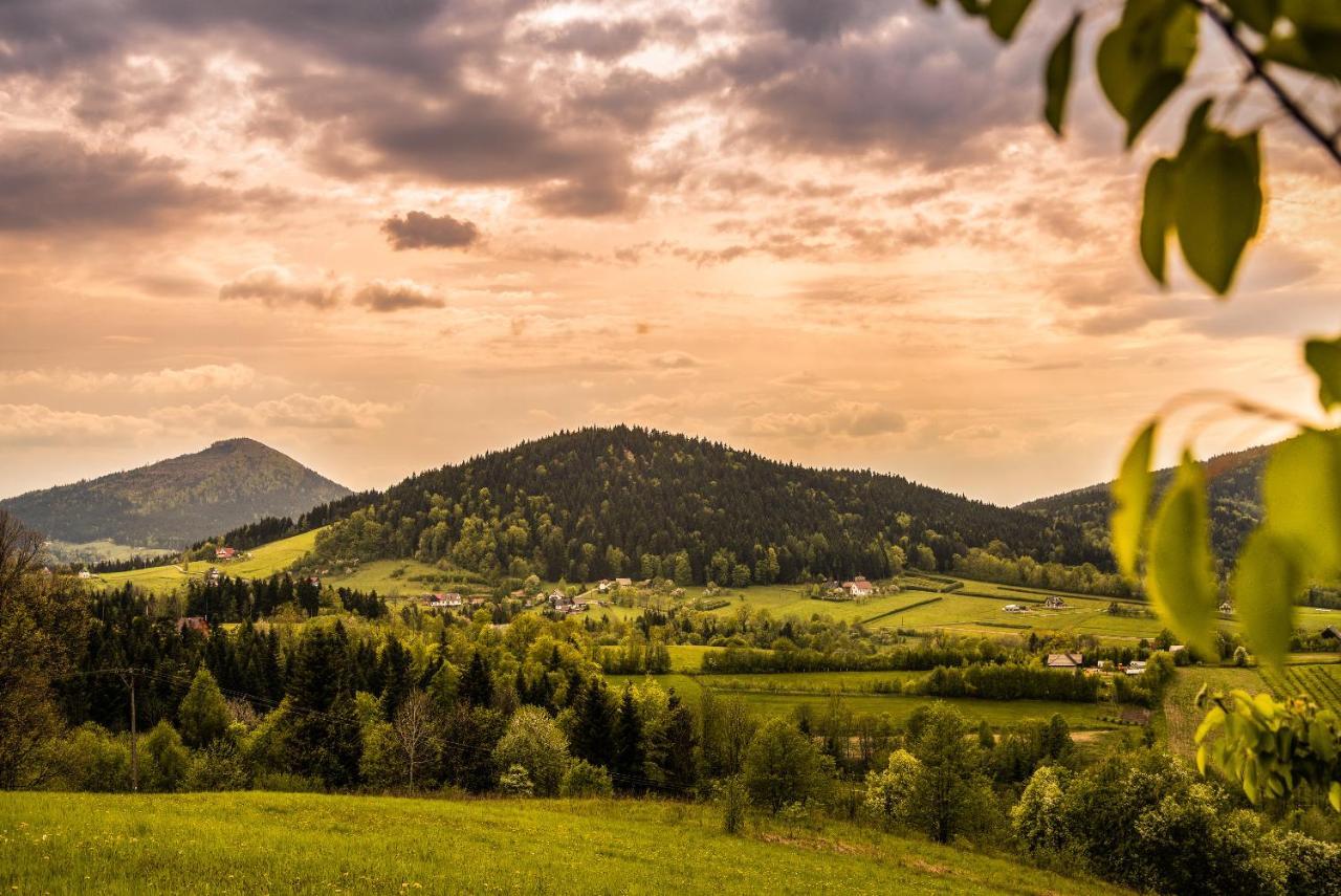 Blizej Nieba Bed & Breakfast Skrzydlna Luaran gambar