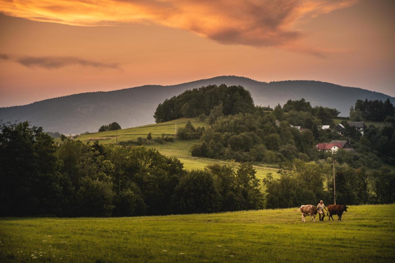 Blizej Nieba Bed & Breakfast Skrzydlna Luaran gambar