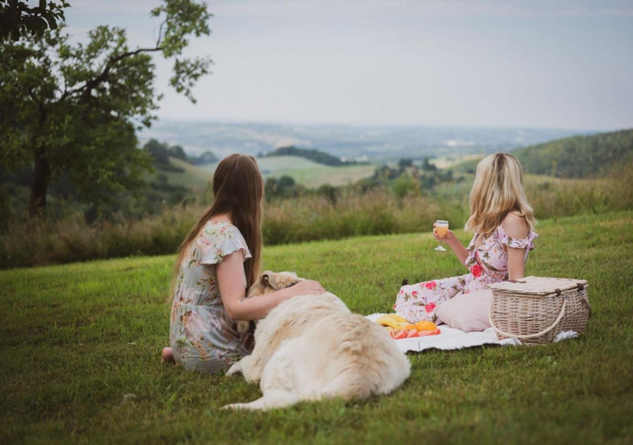 Blizej Nieba Bed & Breakfast Skrzydlna Luaran gambar